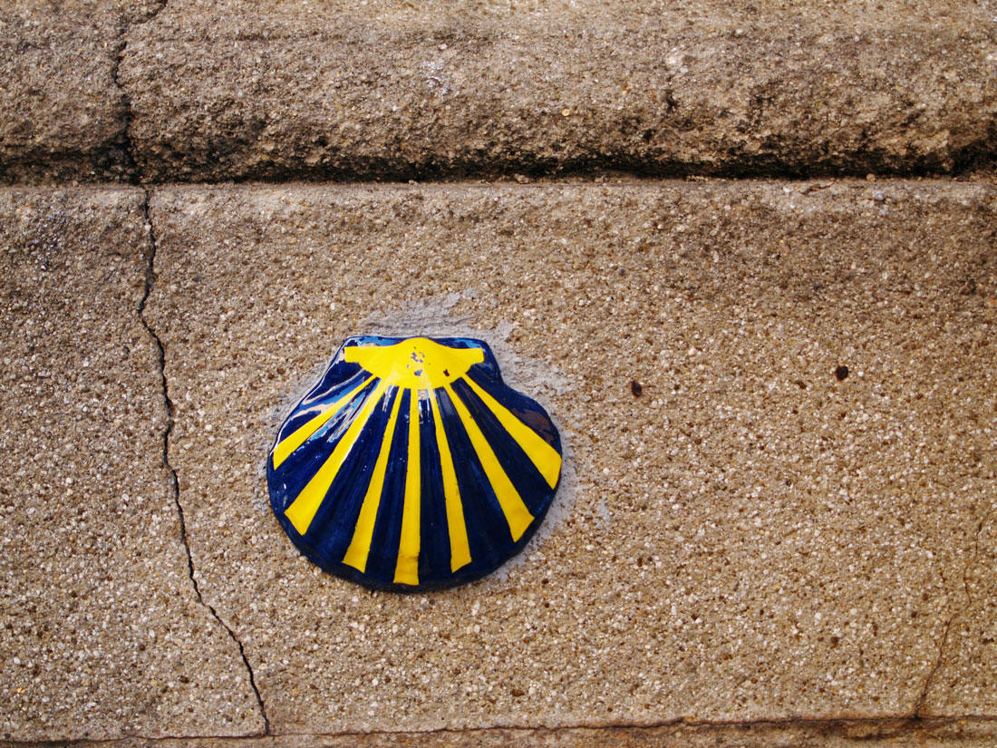 The History of the Camino de Santiago | Pygmy Elephant